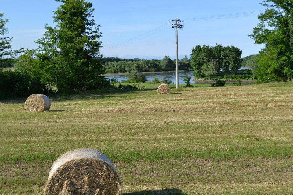 Agriturismo Il Campagnino 크레모나 외부 사진